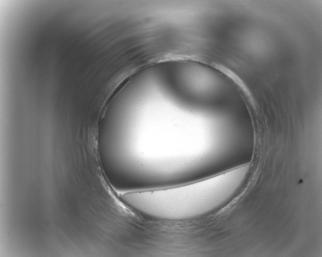 X0000068820809200605081144