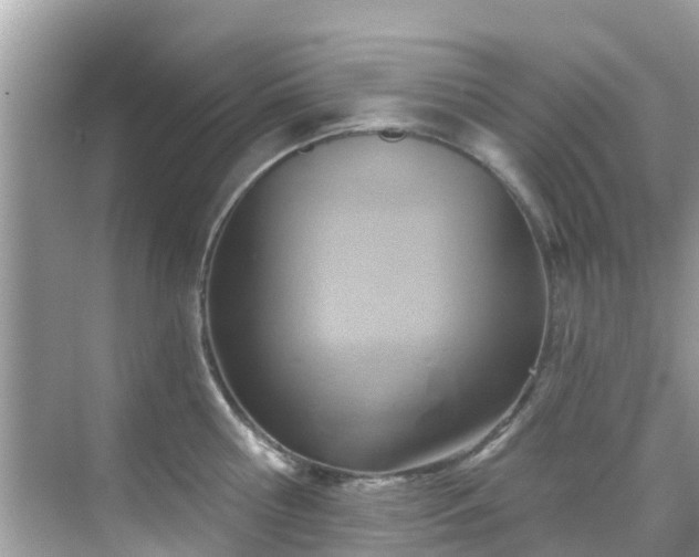 X0000068820810200605081144