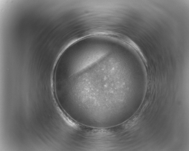 X0000068820811200605081144