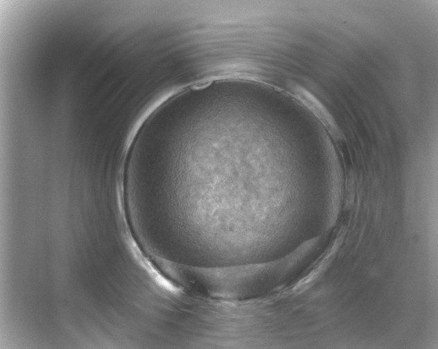 X0000068820812200605081144