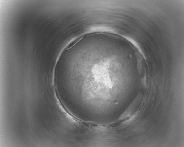 X0000068820815200605081144