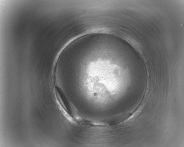 X0000068820816200605081144