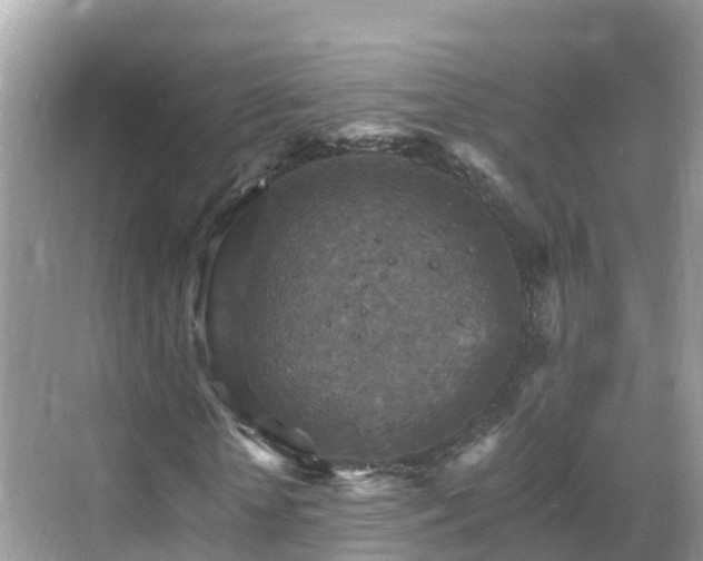 X0000068820818200605081143