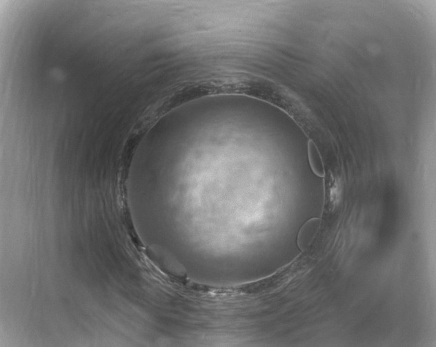 X0000068820819200605081143