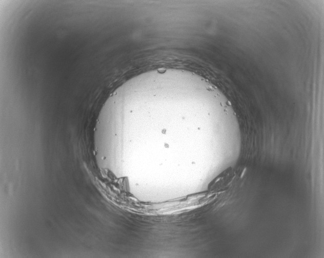 X0000068820820200605081143