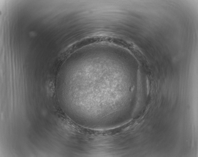 X0000068820821200605081143