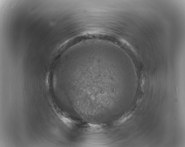 X0000068820822200605081143