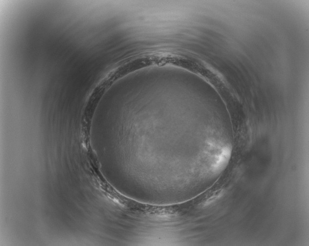 X0000068820823200605081143