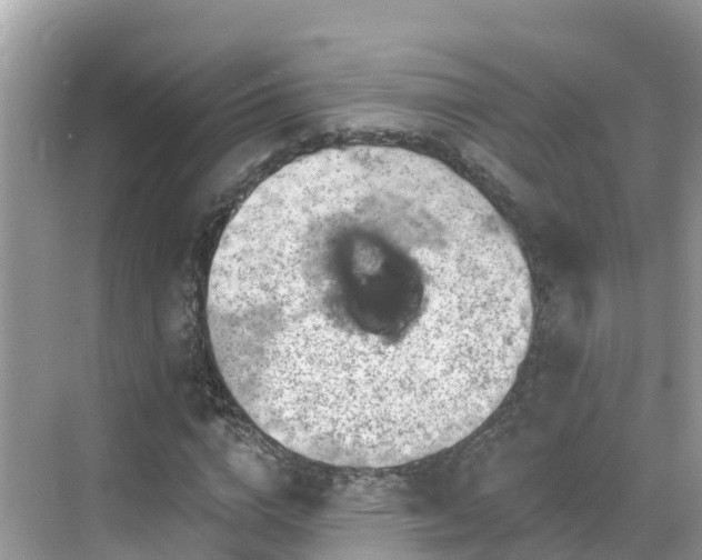 X0000068820824200605081143