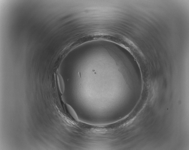 X0000068820825200605081143