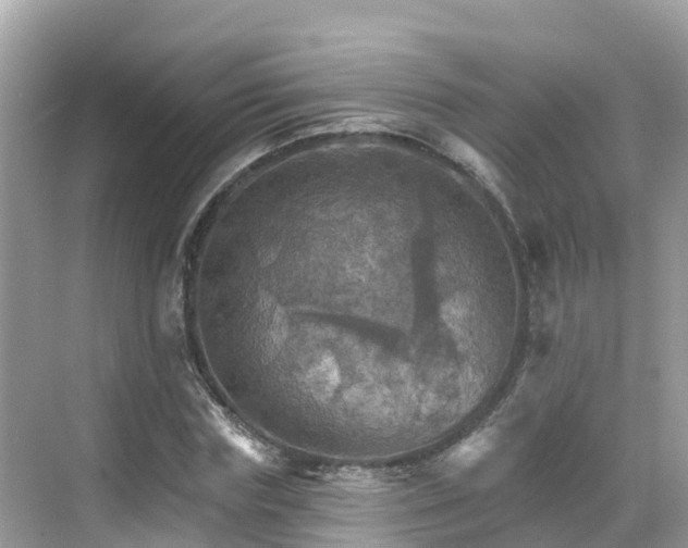 X0000068820827200605081143