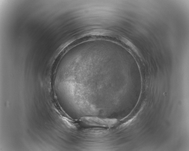 X0000068820829200605081143