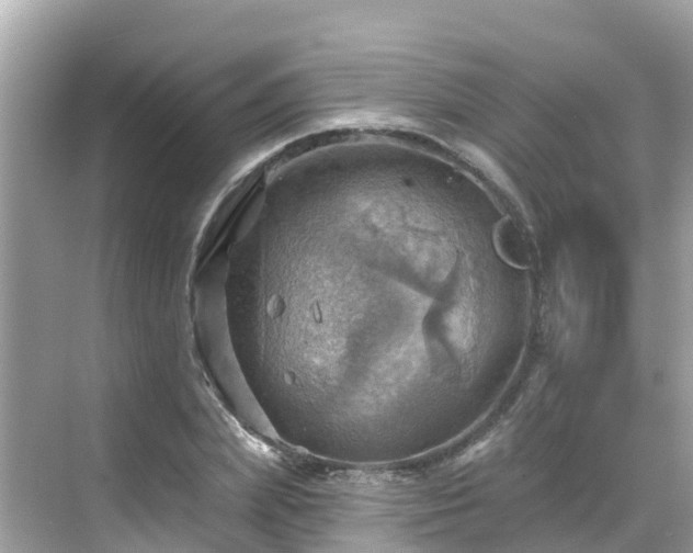 X0000068820831200605081143