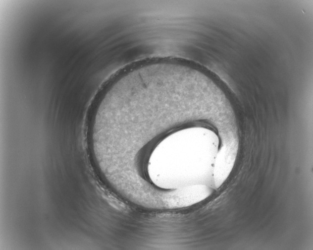 X0000068820832200605081143