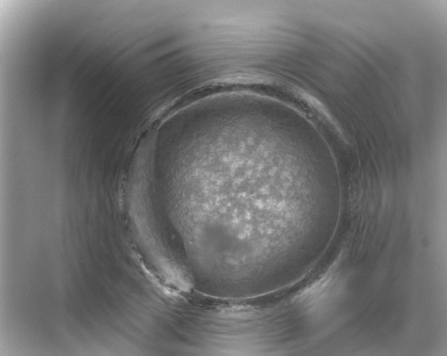 X0000068820833200605081143