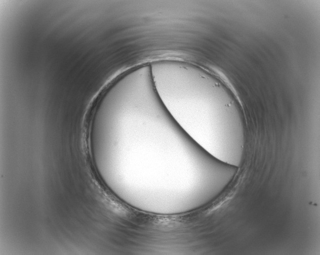 X0000068820835200605081143