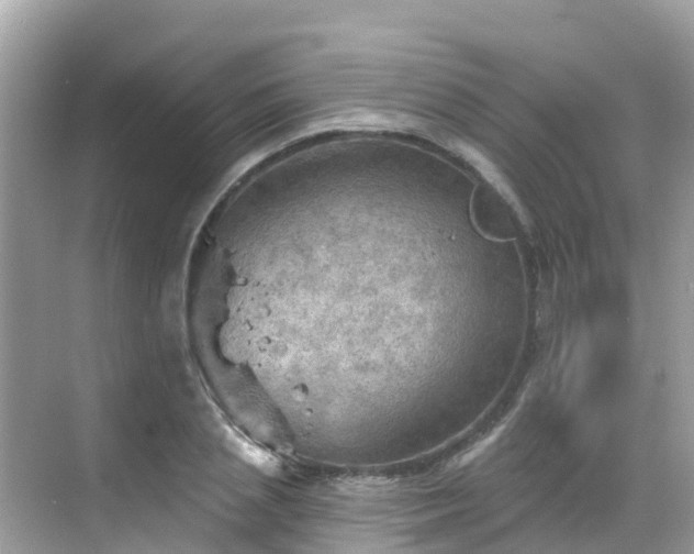 X0000068820837200605081143