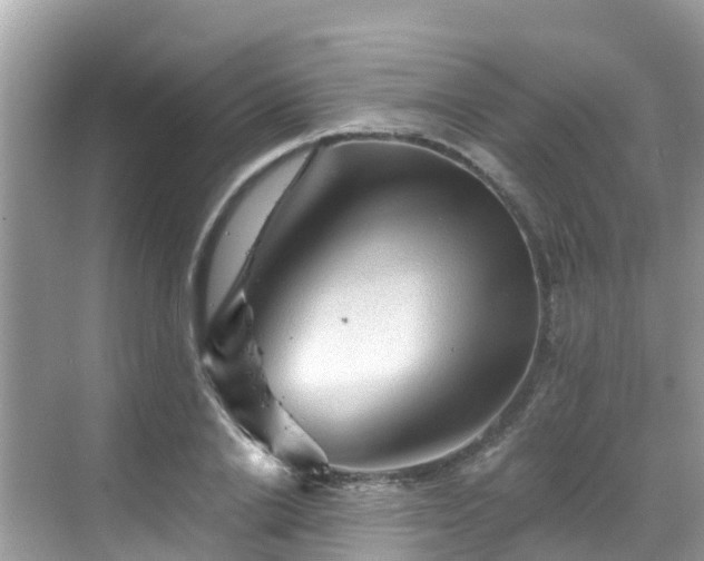 X0000068820838200605081143