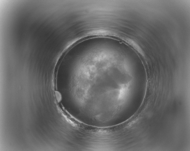 X0000068820839200605081143