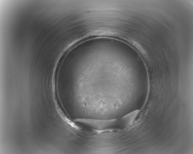 X0000068820840200605081143