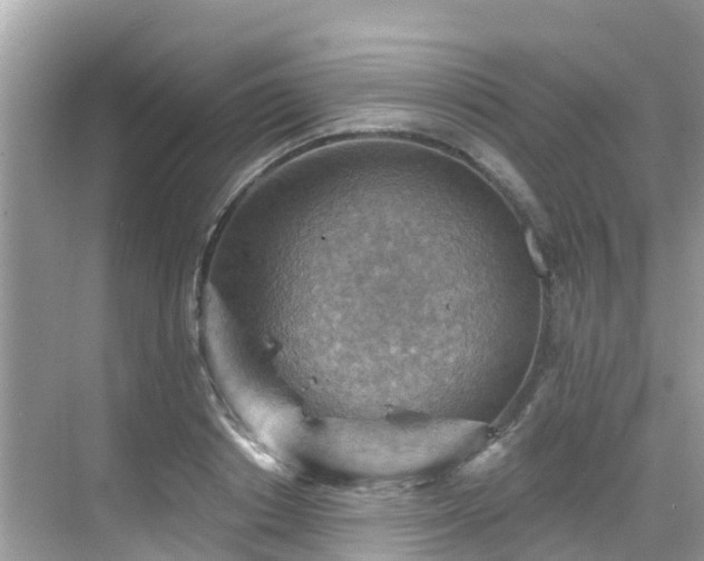 X0000068820842200605081143