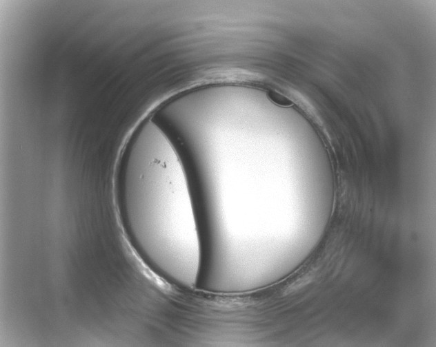 X0000068820843200605081143