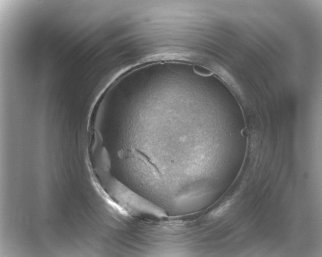 X0000068820844200605081143