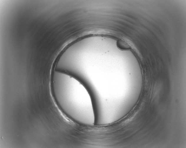 X0000068820845200605081143