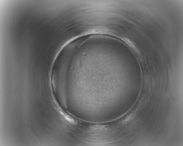 X0000068820846200605081143