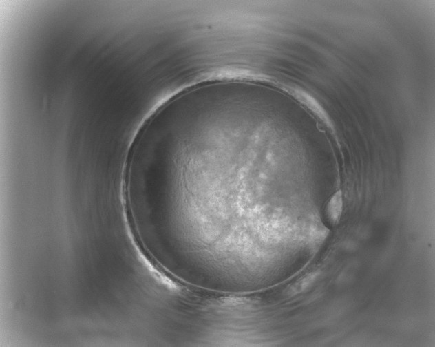 X0000068820847200605081143