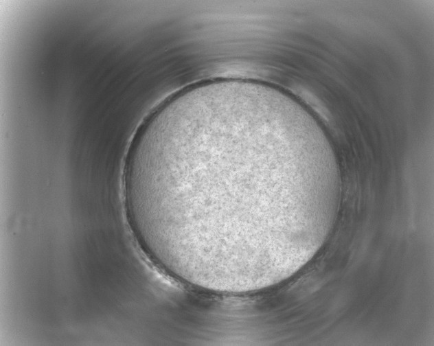 X0000068820848200605081143