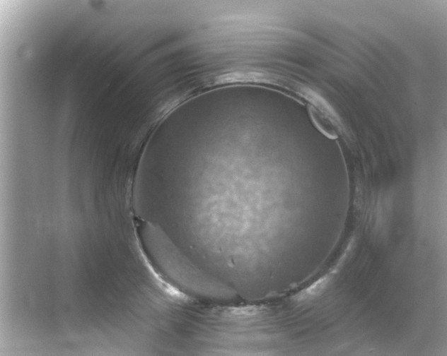 X0000068820849200605081143