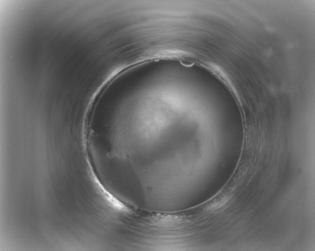 X0000068820851200605081143