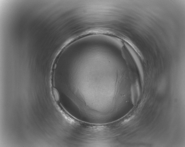 X0000068820853200605081143