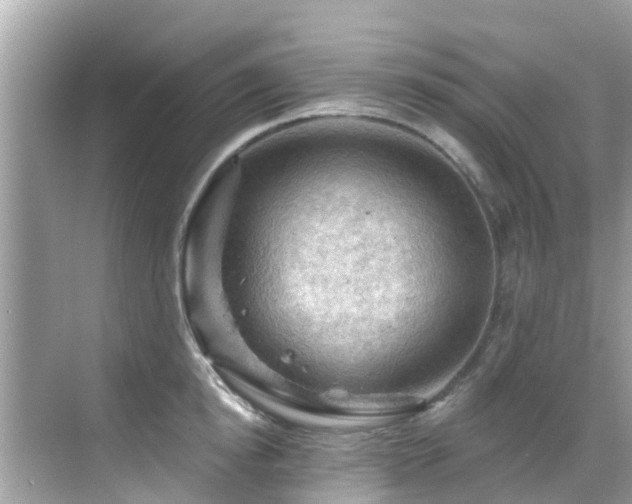 X0000068820854200605081143