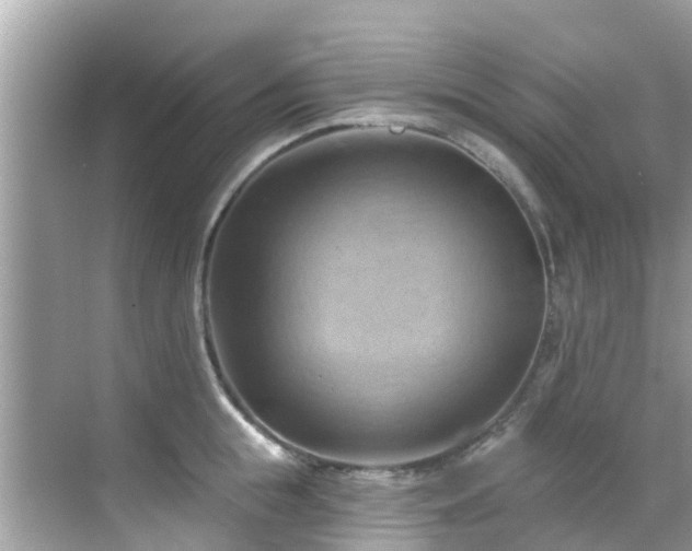 X0000068820855200605081143