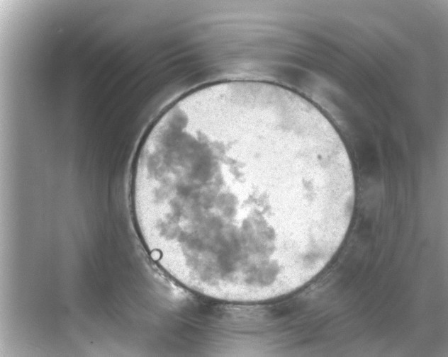 X0000068820856200605081143