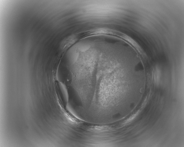 X0000068820857200605081143