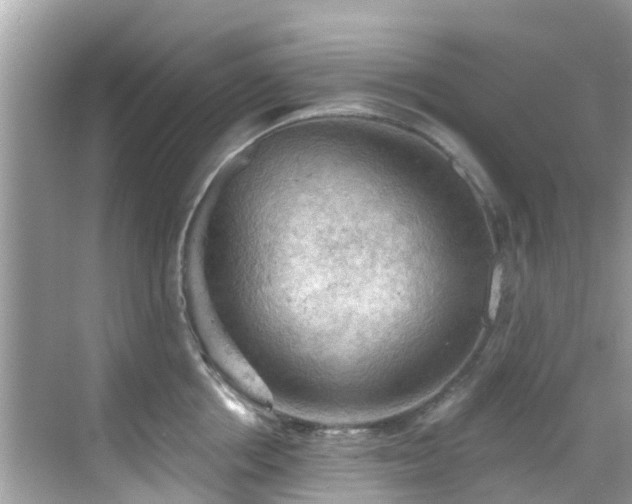 X0000068820858200605081143