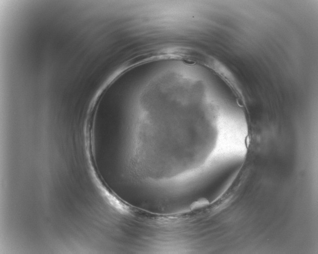 X0000068820859200605081143