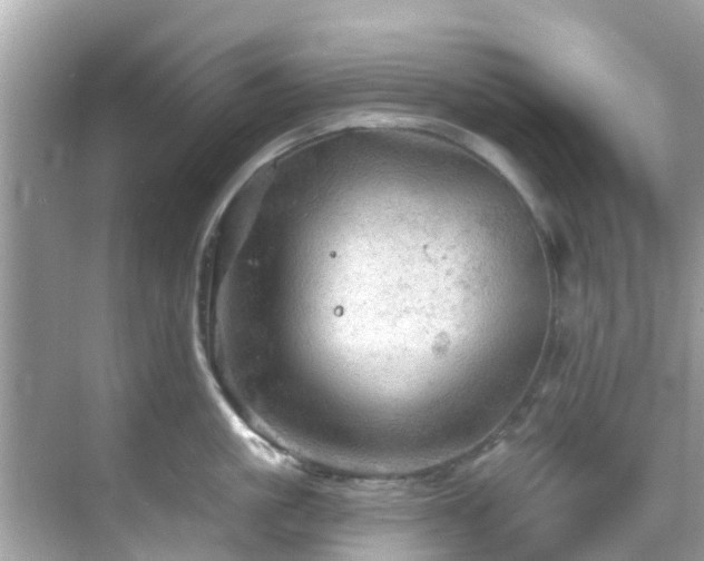 X0000068820861200605081143