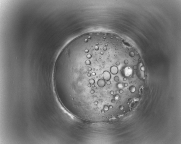 X0000068820863200605081144