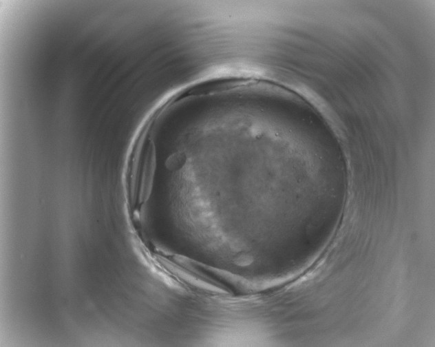 X0000068820864200605081144