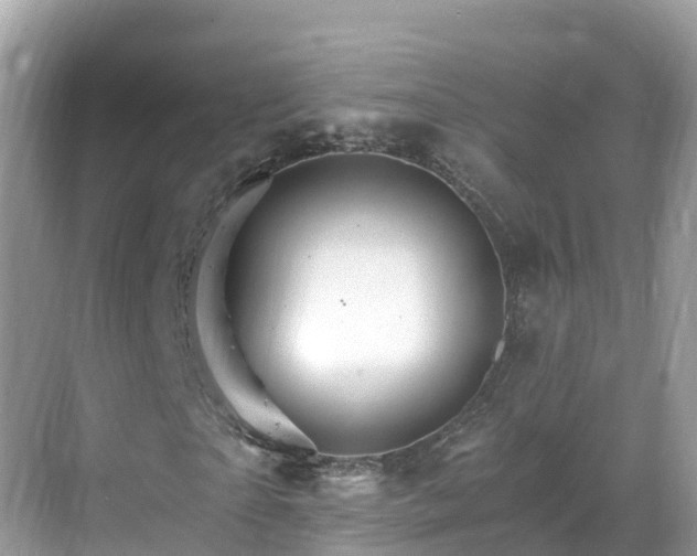 X0000068820865200605081143