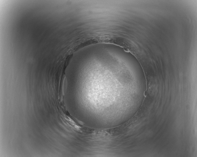 X0000068820866200605081143