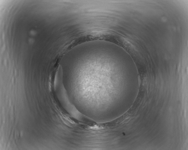 X0000068820868200605081143