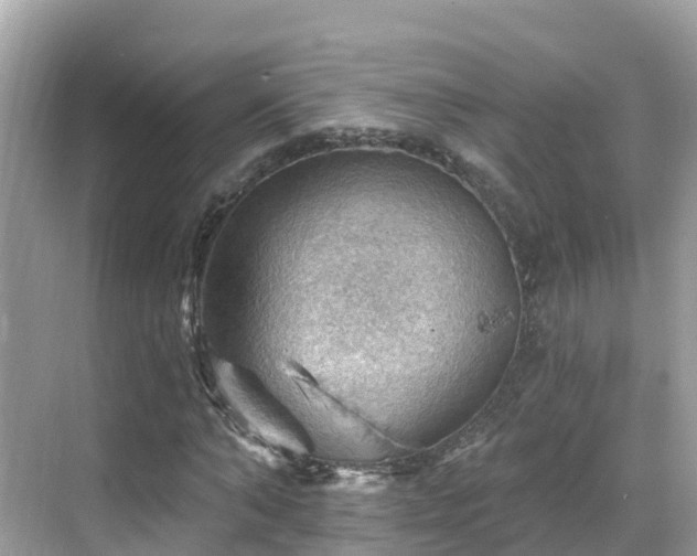 X0000068820870200605081143