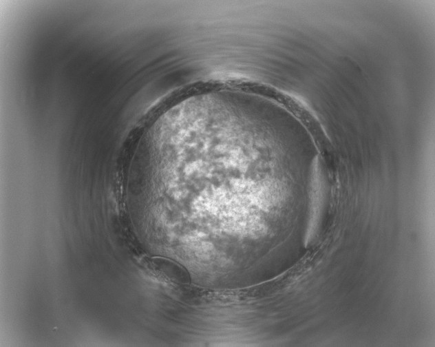 X0000068820871200605081143