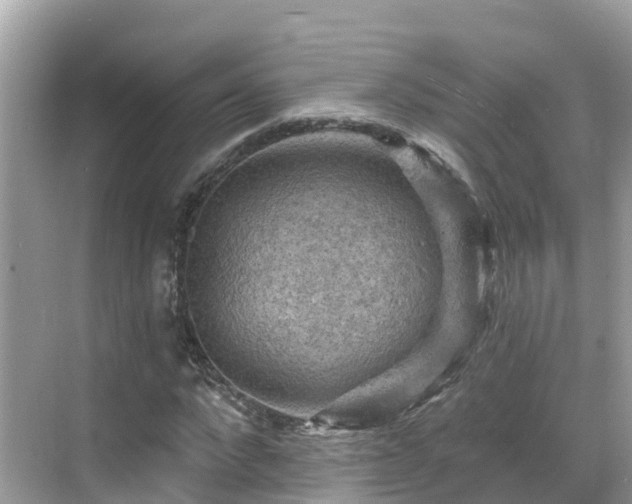 X0000068820872200605081143