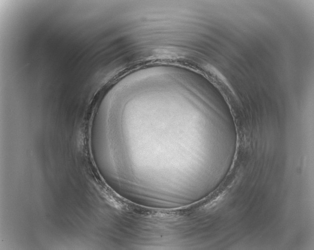 X0000068820874200605081143